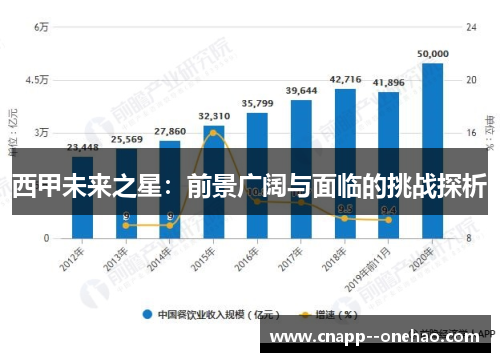 西甲未来之星：前景广阔与面临的挑战探析