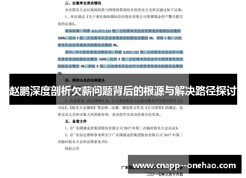 赵鹏深度剖析欠薪问题背后的根源与解决路径探讨